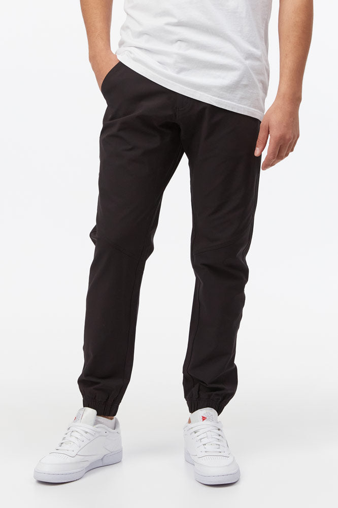 Tentree jogging pants sale